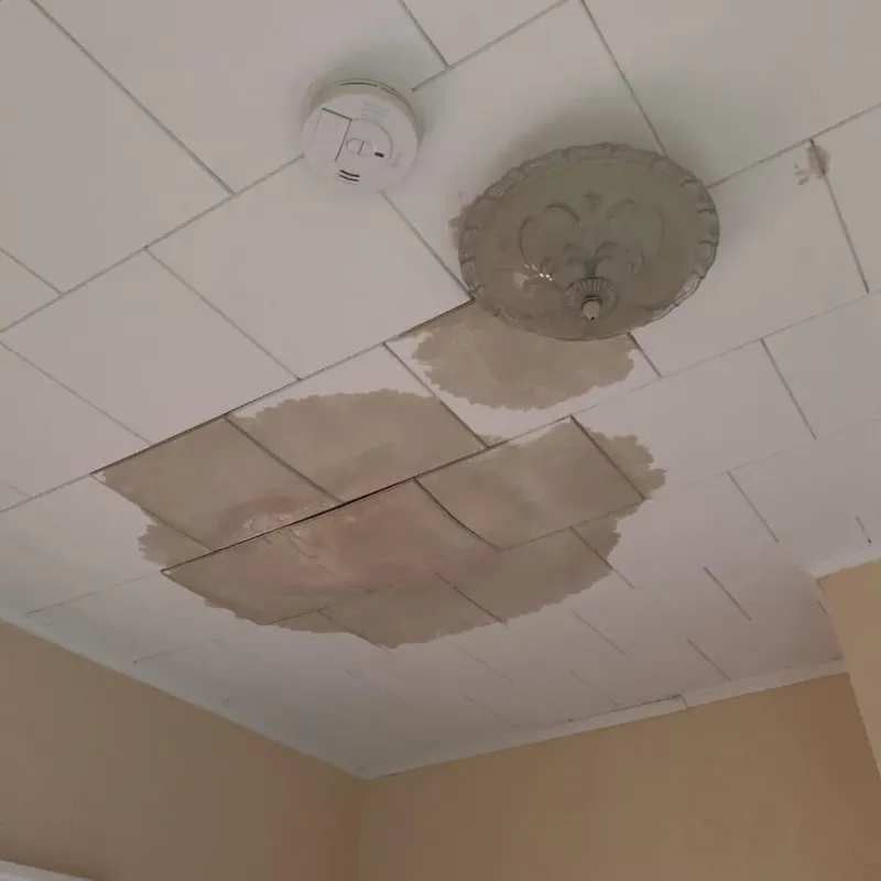 Ceiling Water Damage Repair in Groveton, TX