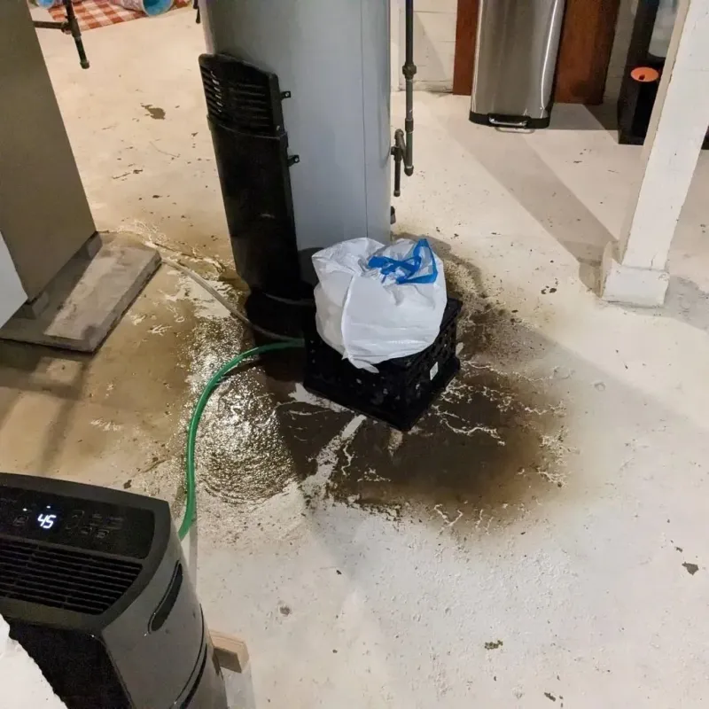 Sewage Backup Cleanup Service in Groveton, TX